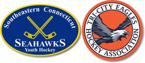 Custom Car Magnets for Youth Hockey